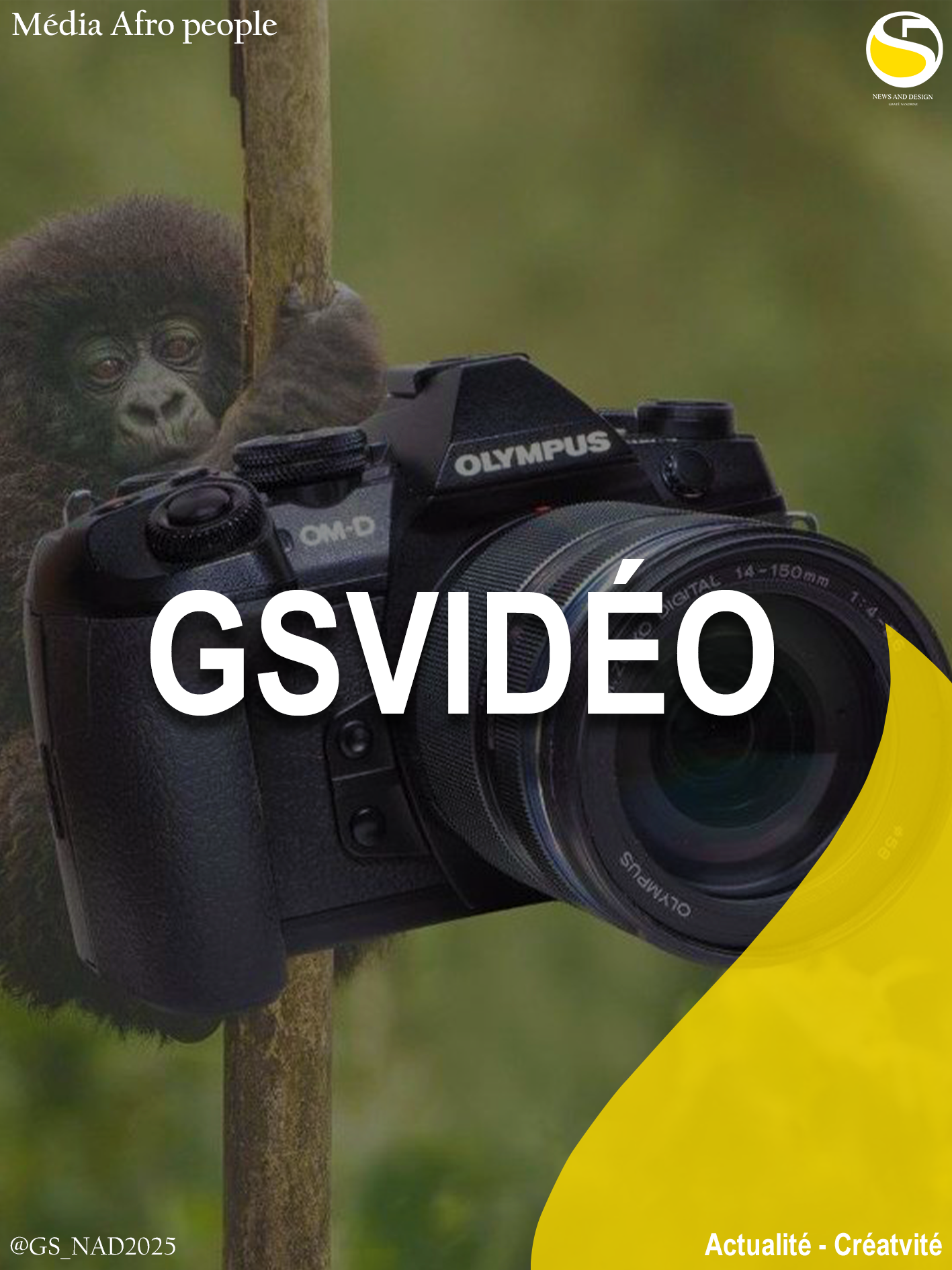 GSvidéo